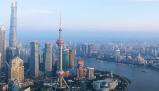 嘉定南翔老街双塔三日游路线，古漪园明代古典园林南翔小笼包深夜真诚约会